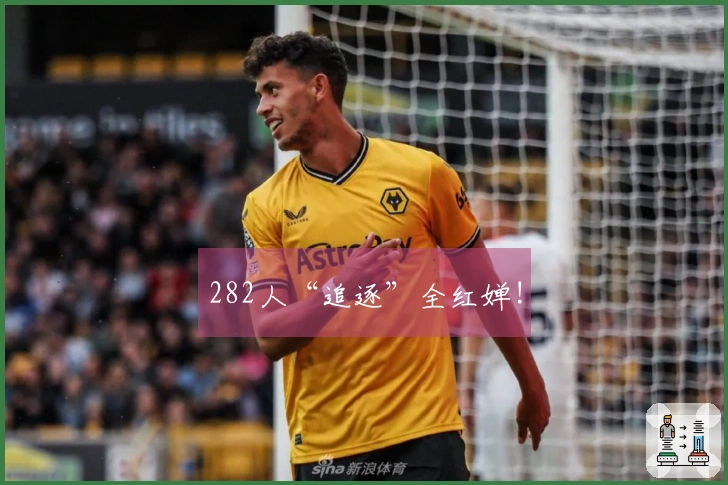 282人“追逐”全红婵!